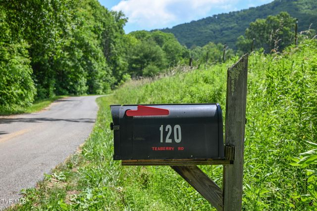 120 Teaberry Road, Roan Mountain, TN 37687