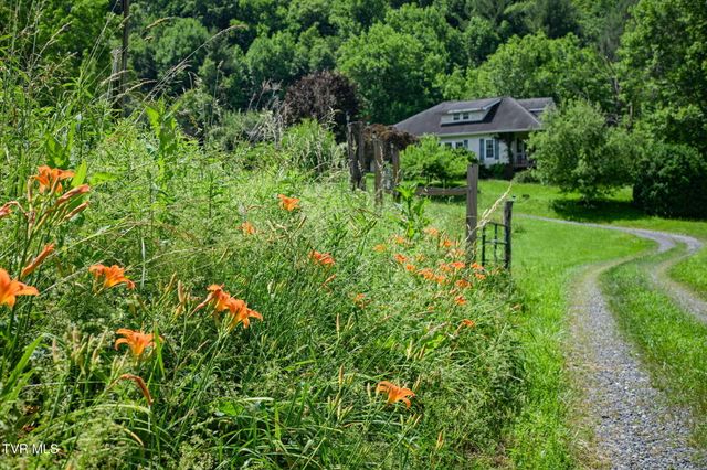 120 Teaberry Road, Roan Mountain, TN 37687