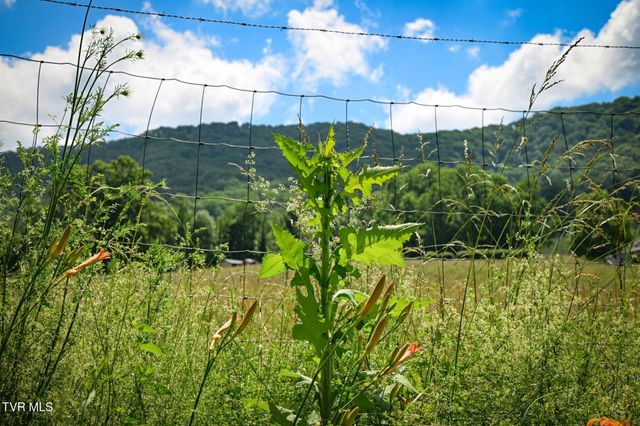 120 Teaberry Road, Roan Mountain, TN 37687
