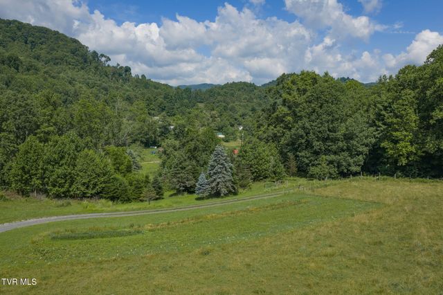 120 Teaberry Road, Roan Mountain, TN 37687