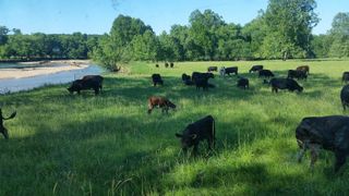 000 B71 Highway, Pineville, MO 64856