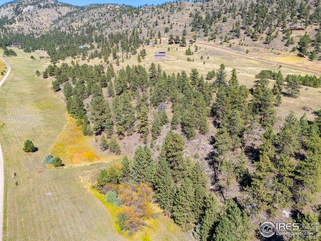 681 Bitterroot Gulch Road, Loveland, CO 80537