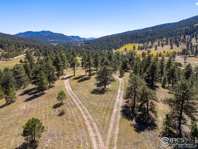 681 Bitterroot Gulch Road, Loveland, CO 80537