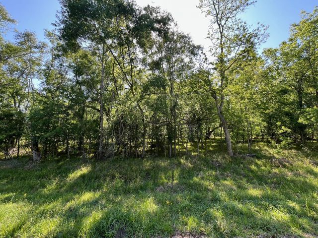 0 Squirrel Hollow Road, Damon, TX 77430