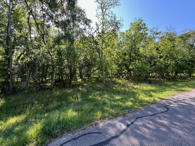 0 Squirrel Hollow Road, Damon, TX 77430