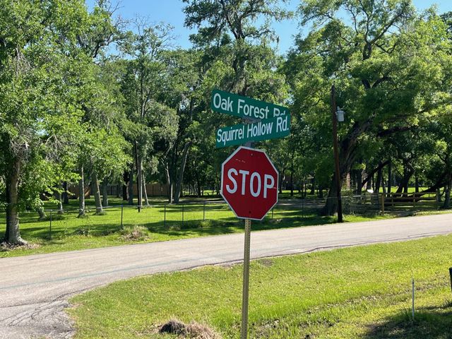 0 Squirrel Hollow Road, Damon, TX 77430