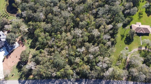 0 Squirrel Hollow Road, Damon, TX 77430