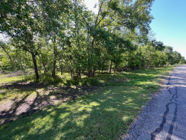 0 Squirrel Hollow Road, Damon, TX 77430