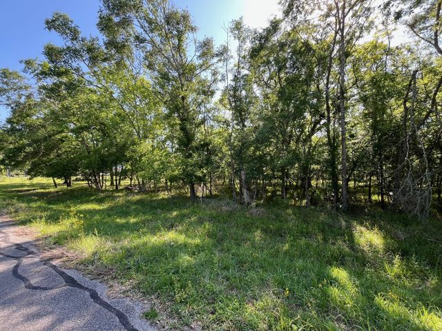 0 Squirrel Hollow Road, Damon, TX 77430