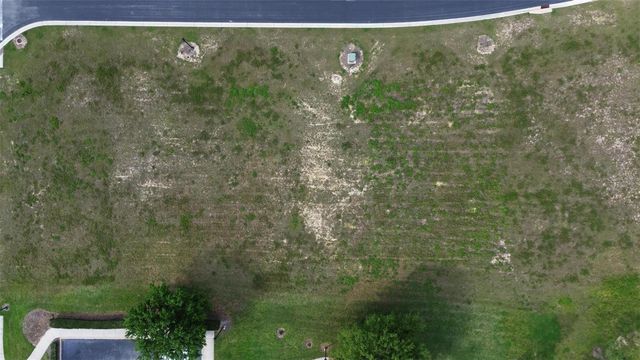 229 SNOWY ORCHID WAY, Lake Alfred, FL 33850