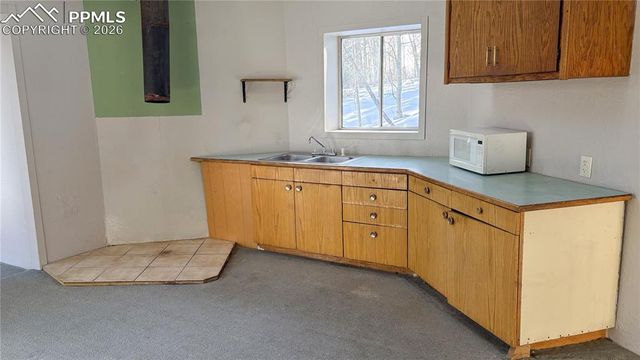 10104 S Highway 67, Divide, CO 80814