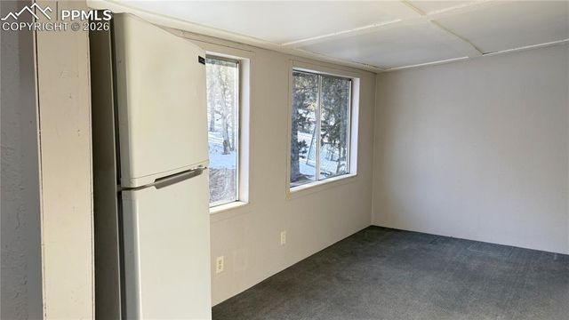 10104 S Highway 67, Divide, CO 80814