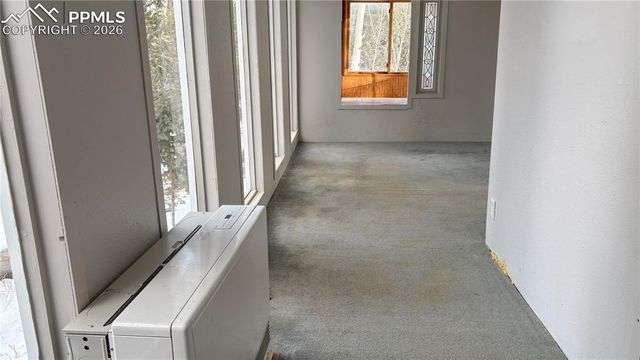 10104 S Highway 67, Divide, CO 80814