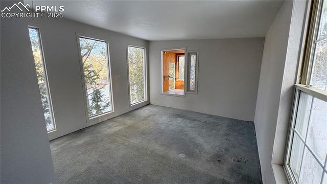 10104 S Highway 67, Divide, CO 80814