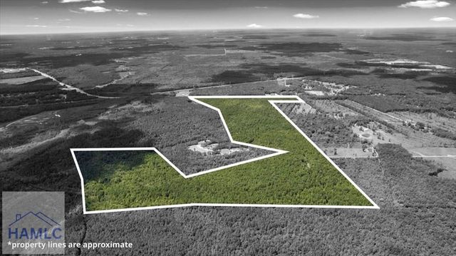 262.44AC Leroy Coffer Highway, Fleming, GA 31309