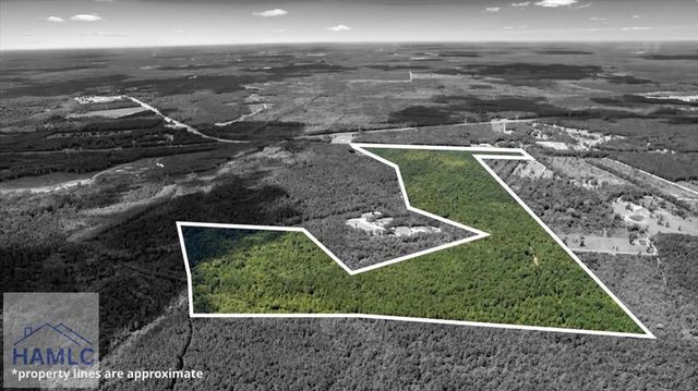262.44AC Leroy Coffer Highway, Fleming, GA 31309