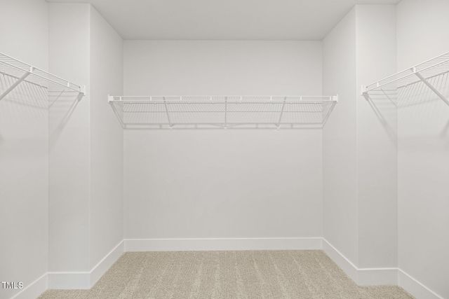 1236 Cricket Street, Elon, NC 27244