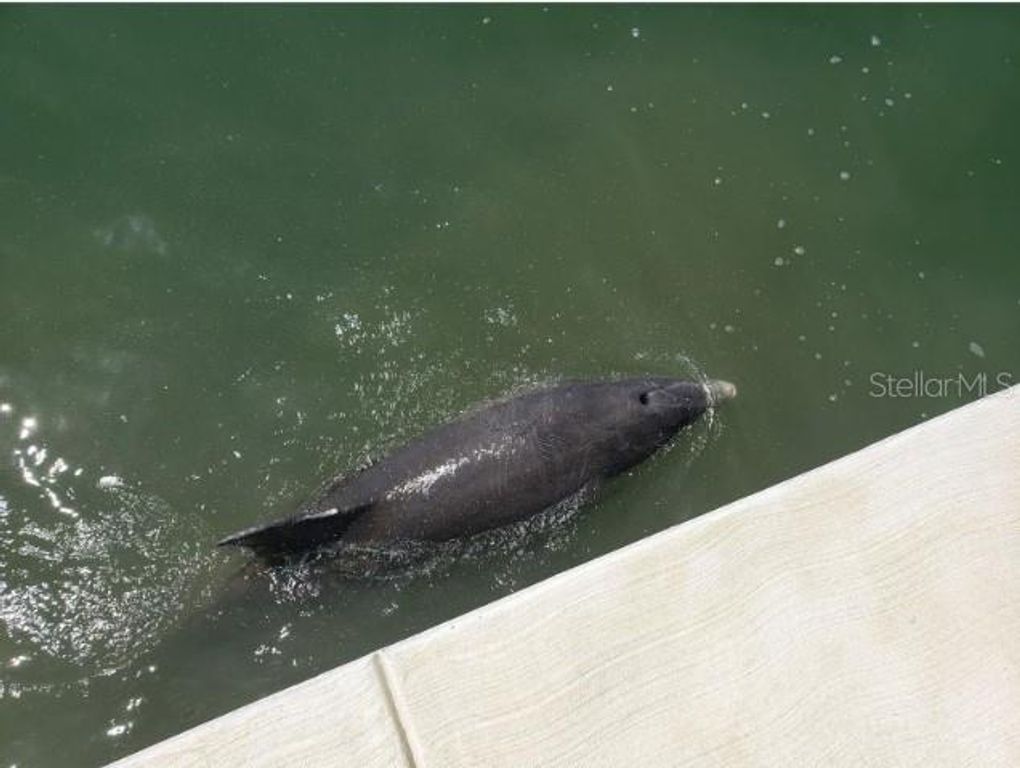 Image 54 of property listing at 5130 BRITTANY DRIVE S 807, St Petersburg, FL 33715