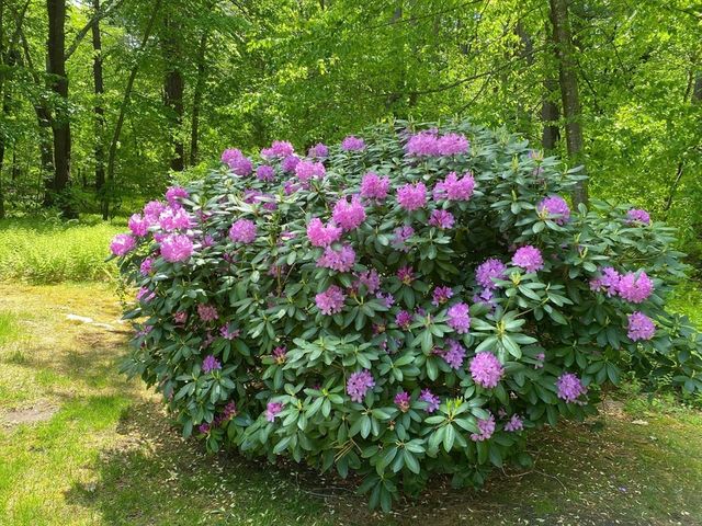 781 Strawberry Hill Rd, Concord, MA 01742