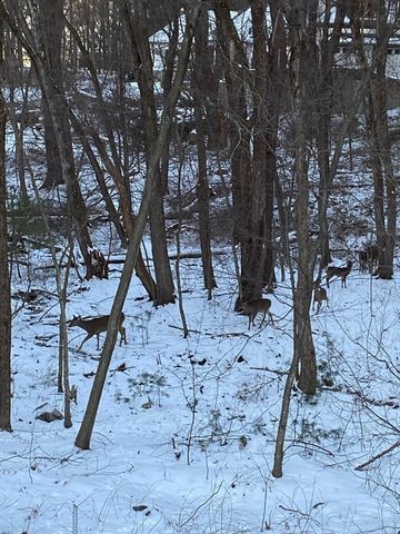 781 Strawberry Hill Rd, Concord, MA 01742