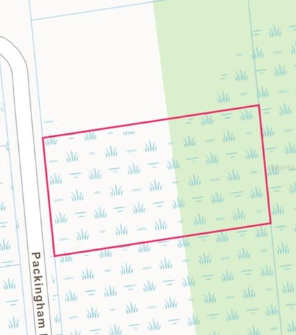 PACKINGHAM DR, LOT 10, Webster, FL 33597
