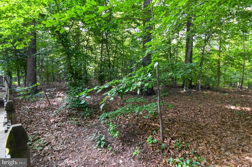 Image 33 of property listing at 1688 PATRICE CIR, Crofton, MD 21114