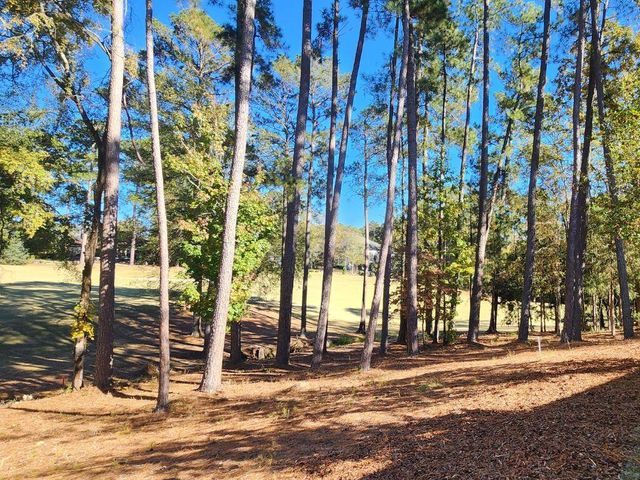 314 Palmer Lane, Mc Cormick, SC 29835