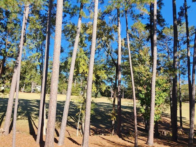 314 Palmer Lane, Mc Cormick, SC 29835