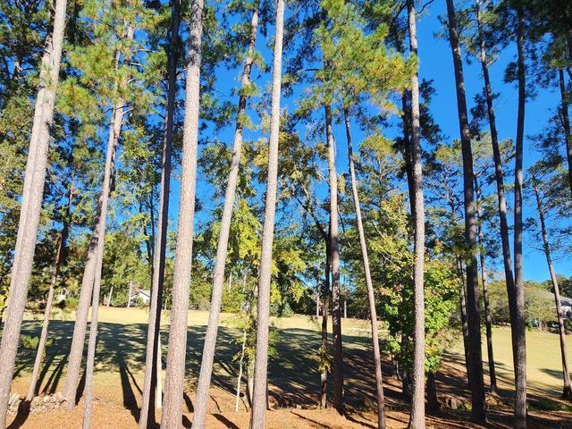 314 Palmer Lane, Mc Cormick, SC 29835