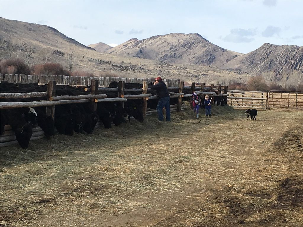 263 W Bovine Way, Melrose, MT 59743 photo 15