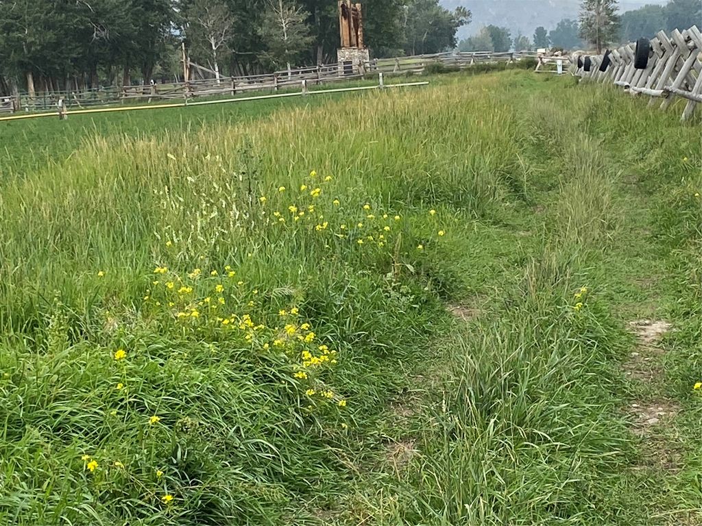 263 W Bovine Way, Melrose, MT 59743 photo 6