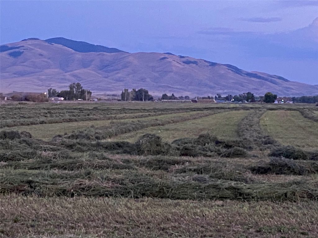 263 W Bovine Way, Melrose, MT 59743 photo 7