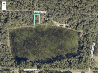 35034 Batesfield ST, Webster, FL 33597