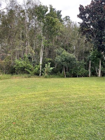 519 TREE SHORE DRIVE, Orlando, FL 32825
