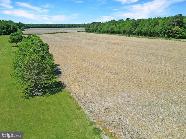 21176 PEPPER RD, Georgetown, DE 19947