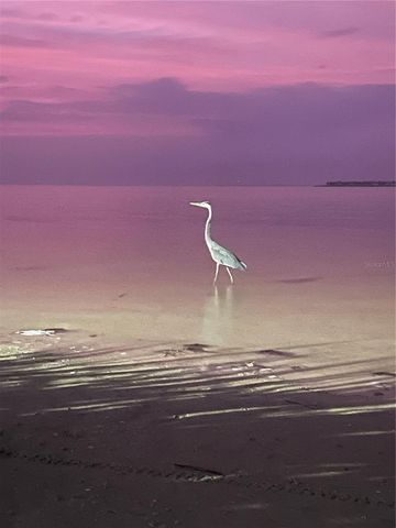 500 SANIBEL COURT, Tarpon Springs, FL 34689