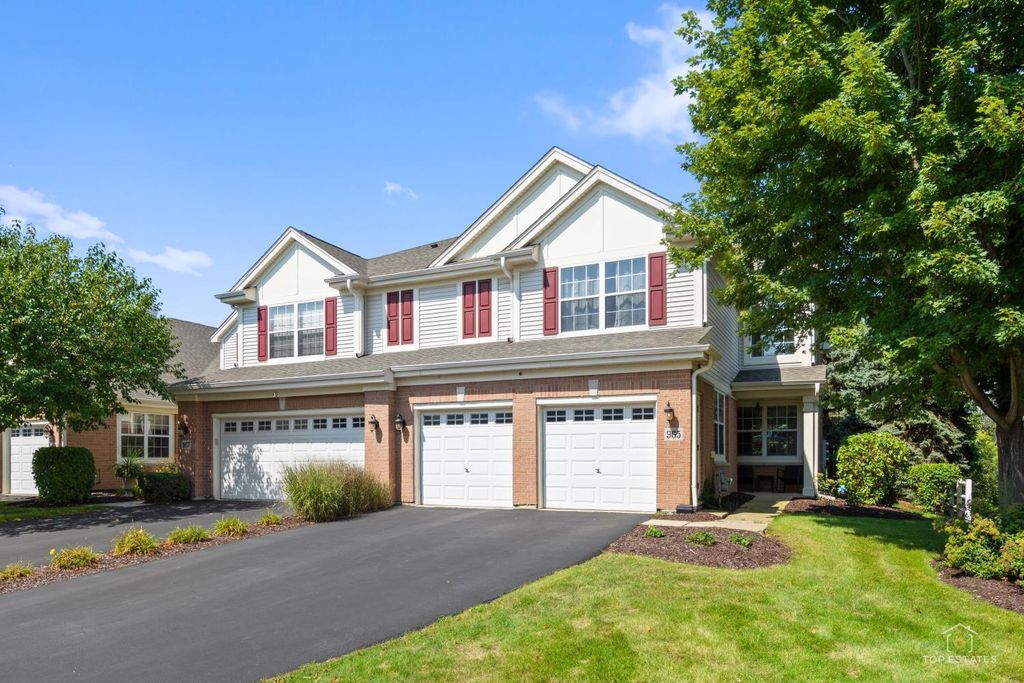 965 Winners Cup Ct Court, Naperville, IL 60564 — exterior