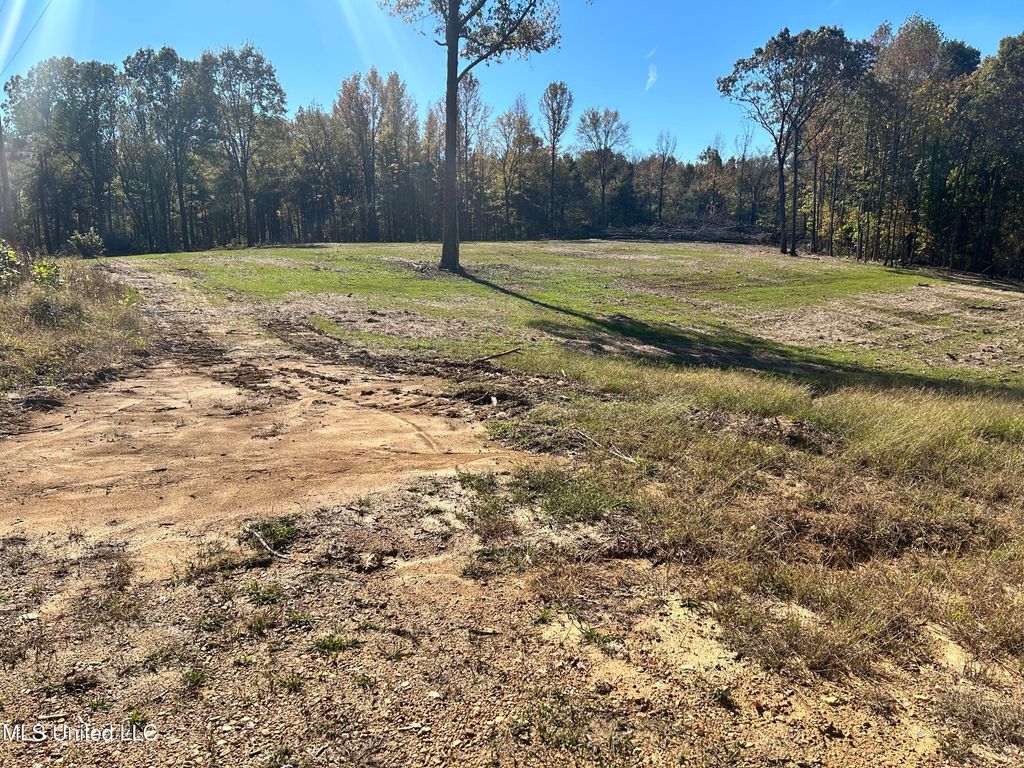 5163 S Hwy 51, Hernando, MS 38632 — photo 2