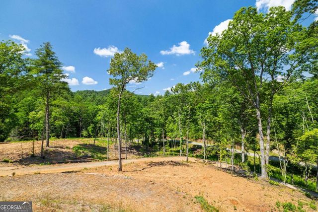 265 Park Glen Lane, Mineral Bluff, GA 30559