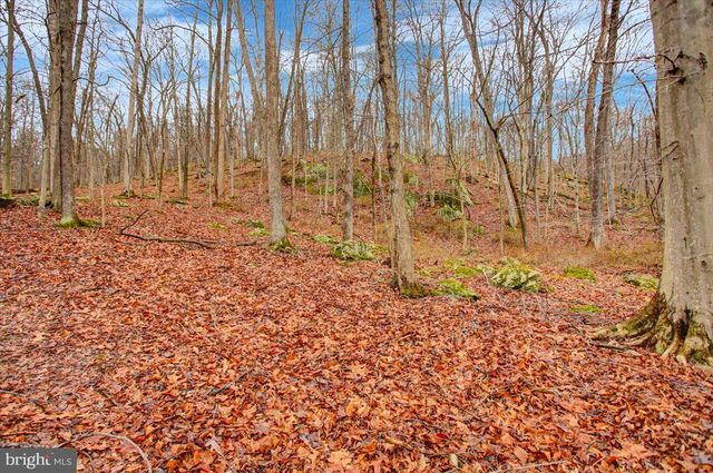 16024 FOXVILLE DEERFIELD RD, Sabillasville, MD 21780