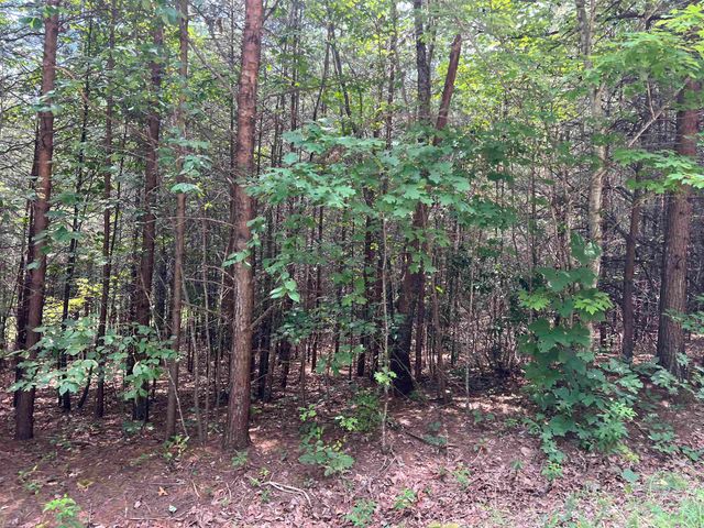 500 Goforth Road, Landrum, SC 29356
