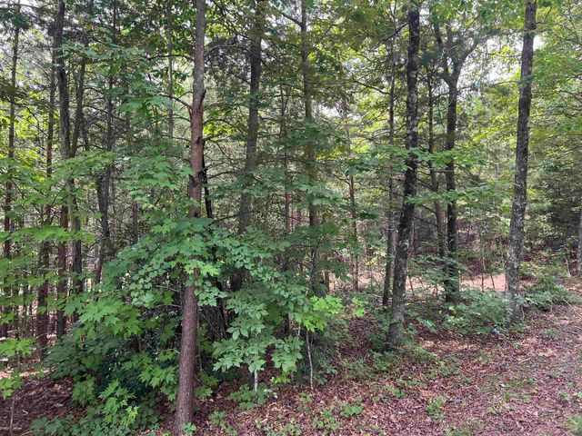 500 Goforth Road, Landrum, SC 29356