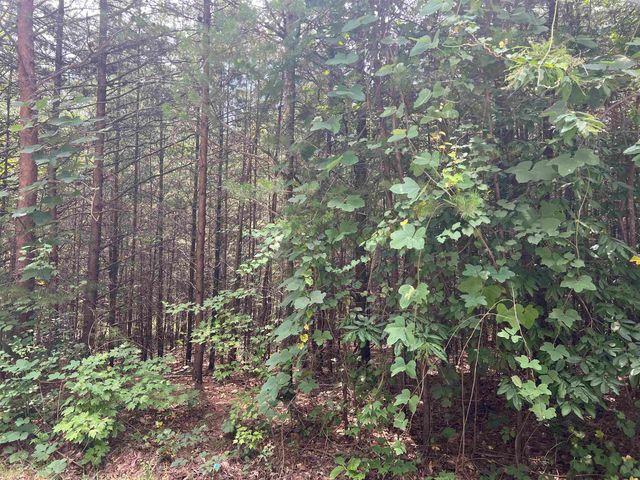 500 Goforth Road, Landrum, SC 29356