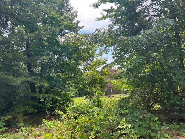 500 Goforth Road, Landrum, SC 29356