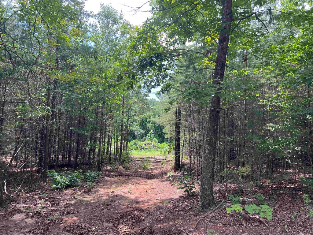 500 Goforth Road, Landrum, SC 29356