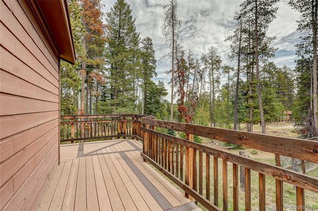 10850 Oehlmann Avenue, Conifer, CO 80433