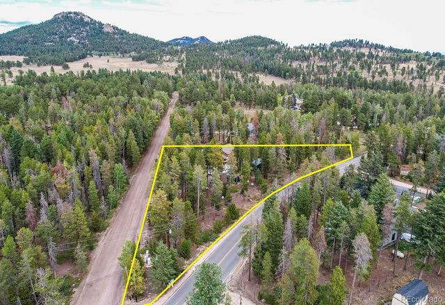 10850 Oehlmann Avenue, Conifer, CO 80433