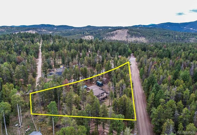 10850 Oehlmann Avenue, Conifer, CO 80433