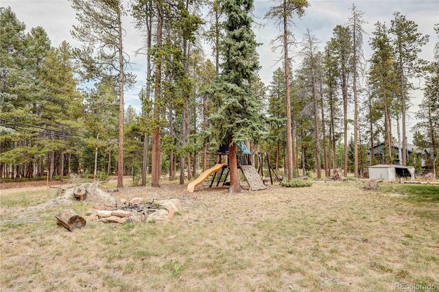 10850 Oehlmann Avenue, Conifer, CO 80433