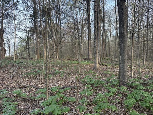 152 Fleming Rd, Portland, TN 37148